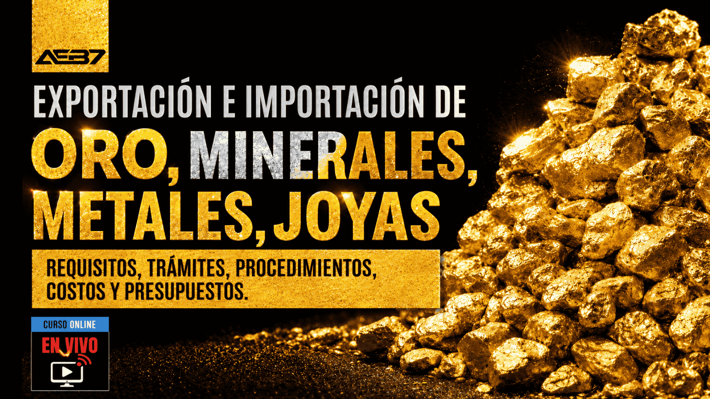 1 port web px exp imp min, met y joyas